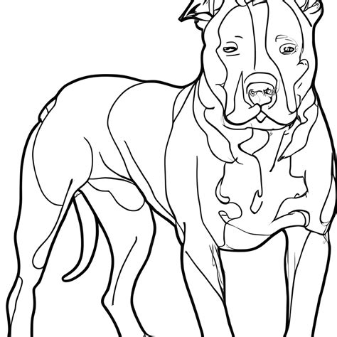 Pitbull Coloring Sheets