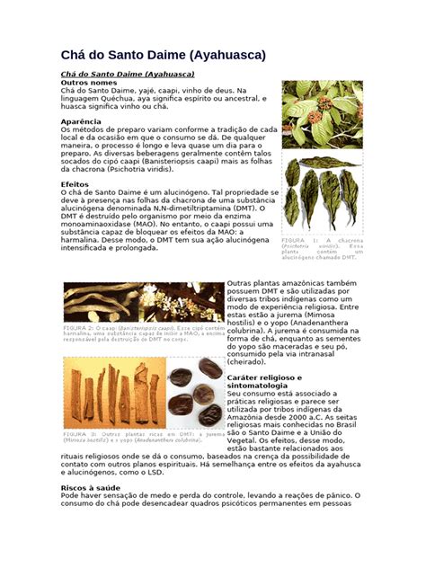Chá Santo Daime Para Que Serve - História Cultural Chá Do Santo Daime | PDF | Ayahuasca | Xamanismo