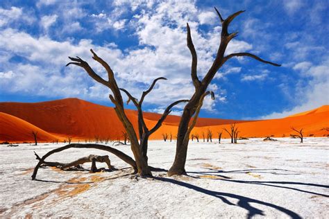 Namib-Naukluft National Park (Official GANP Park Page)