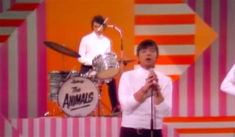 5 Greatest Songs From The Animals