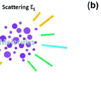 Schematic of Raman scattering. (a) Raman scattering is classified into ...