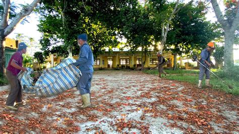 FREE Transforming School Grounds After Summer Break Preparing For A