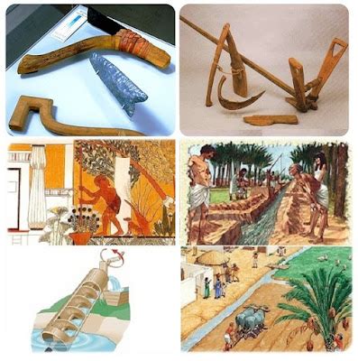 Ancient Egyptian Farming Tools | Travel | Before It's News