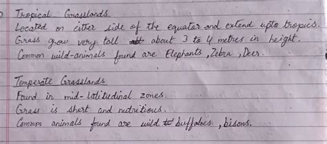 Difference Between Tropical And Temperate Grasslands Class 7 Geography