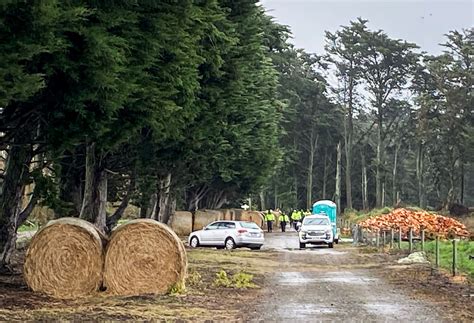 Yanfei Bao Police Find Remains In Search For Missing Christchurch Real