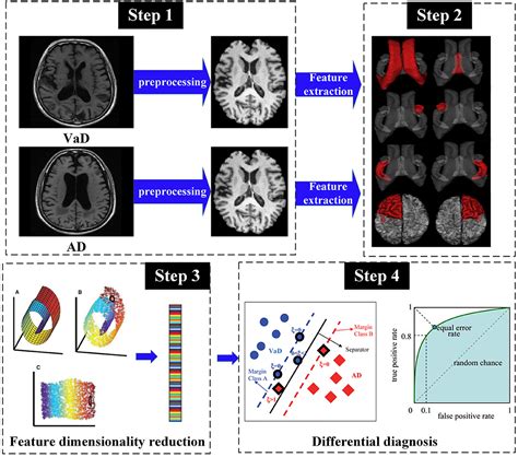 Frontiers Machine Learning Based Framework For Differential Diagnosis