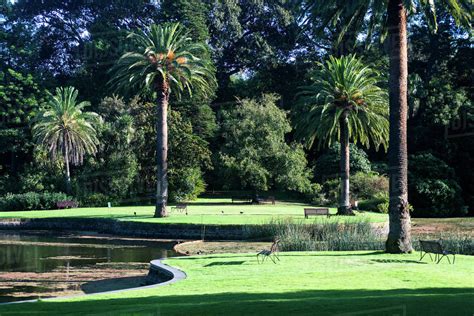 Royal Botanic Gardens Melbourne Victoria Australia Pacific Stock