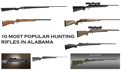 Types Of Guns Used For Hunting Opecbob