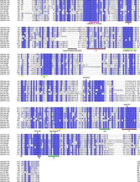 Figures And Data In Nucleosome Chd Chromatin Remodeler Structure Maps