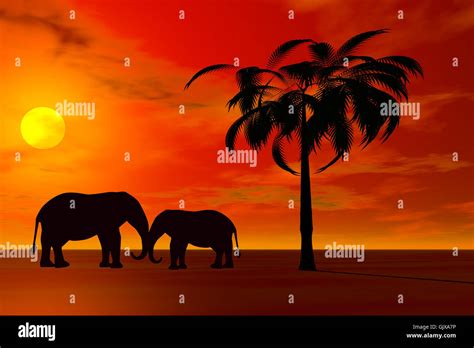 Silueta De Elefante Fotos Und Bildmaterial In Hoher Aufl Sung Alamy