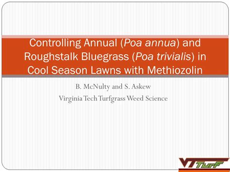 Controlling Annual Poa Annua And Roughstalk Bluegrass Poa Trivialis