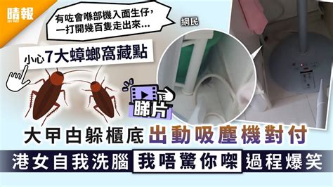 曱甴出沒｜大曱甴躲櫃底出動吸塵機對付 港女自我洗腦「我唔驚你㗎」過程爆笑｜7大蟑螂窩藏點 晴報 家庭 家居 D201229