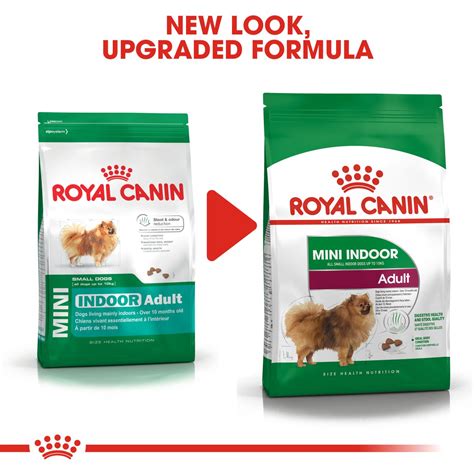 Mini Indoor Adult | Royal Canin Indonesia