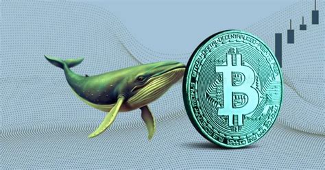 Bitcoin Nears K As Whales Accumulate Btc Worth Million