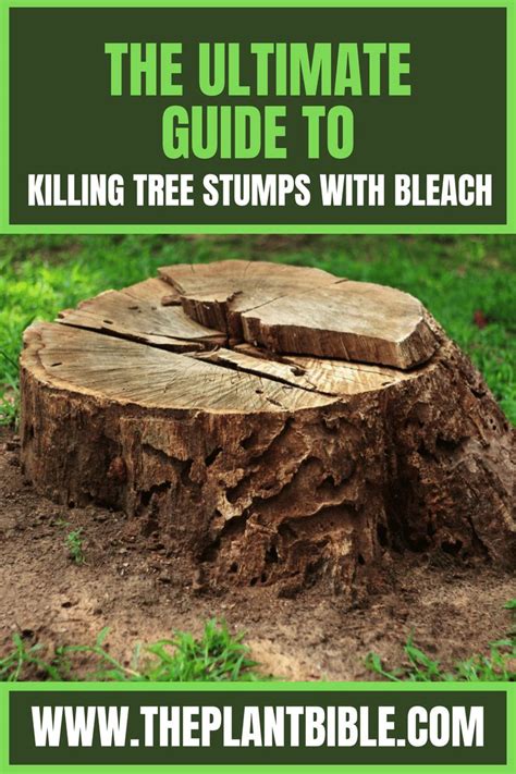 Killing Tree Stumps With Bleach