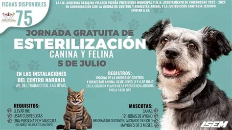 JORNADA DE ESTERILIZACIÓN 2023 AÚN HAY FICHAS DISPONIBLES