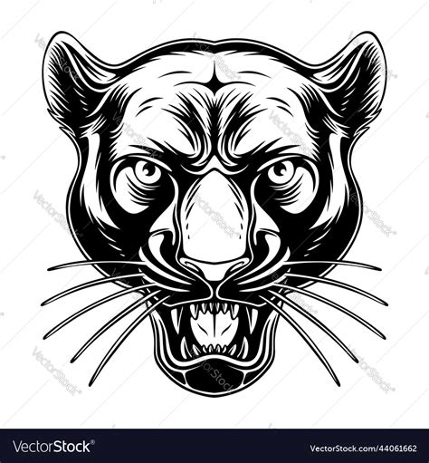 Panther Head With Cool Position And Roaring Black Vector Image