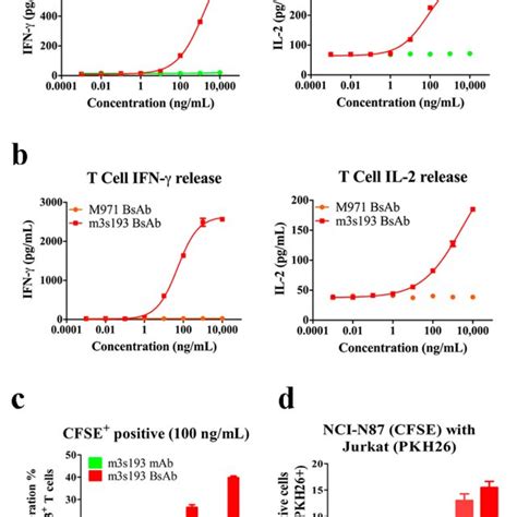 activation  cd  cd expression  cd  cd  cells