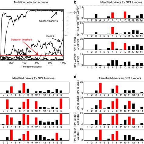 Identifying Driver Mutations A The Gene Mutation Prevalence For One