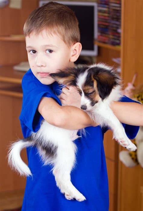 boy  puppy stock image image  love male puppy