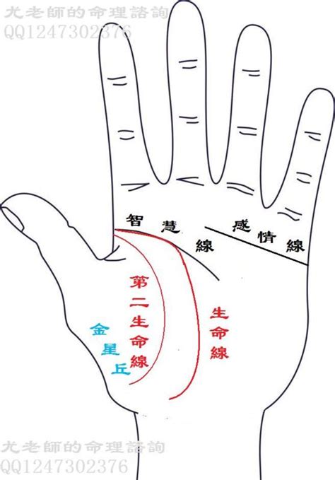 手相基礎學（二）生命線 Masteryou 尤老師的風水命理研究 Udn部落格