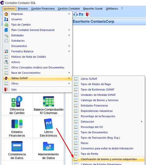 Clasificación De Bienes Y Servicios Adquiridos Soporte Contasiscorp