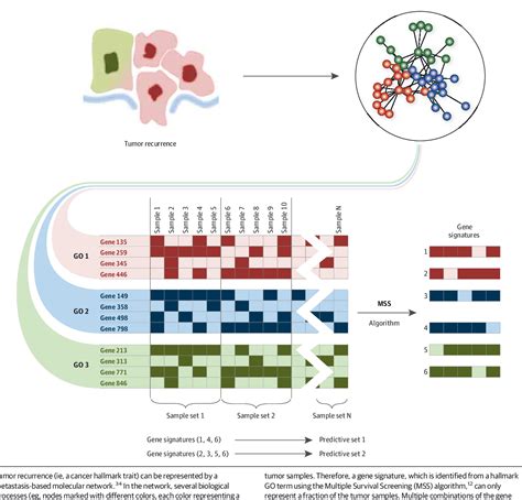 Pdf Identification And Construction Of Combinatory Cancer Hallmark