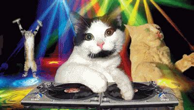 Dj Party GIF - Dj Party Cat - Discover & Share GIFs