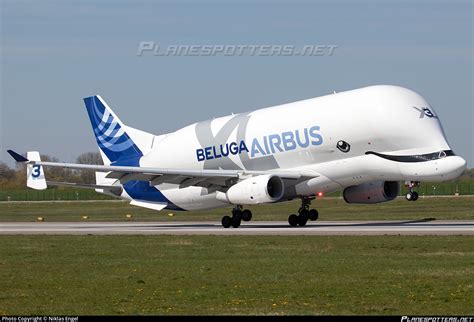 F Gxli Airbus Transport International Airbus A L Beluga Xl Photo