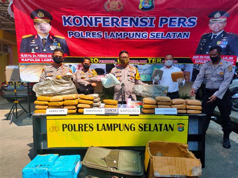 Polres Lampung Selatan Ungkap Puluhan Kg Ganja Dan Ribuan Ekstacy