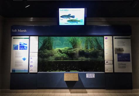 Aquarium Exhibits — Texas Parks & Wildlife Department