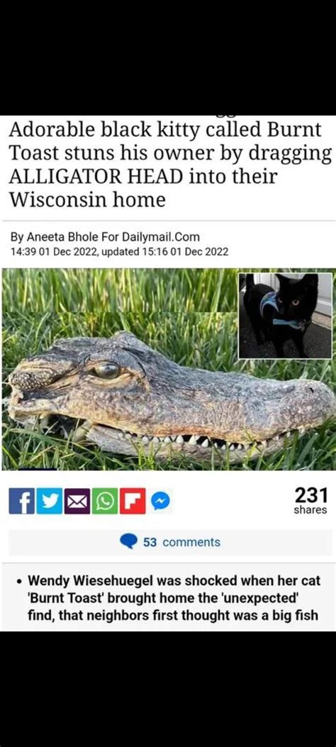 Alligator head : r/BrandNewSentence