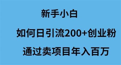 新手小白如何日引流200创业粉通过卖项目年入百万 项目集市