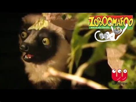 Zoboomafoo | Episode: Learn with Lemur | Animals For Kids - YouTube ...