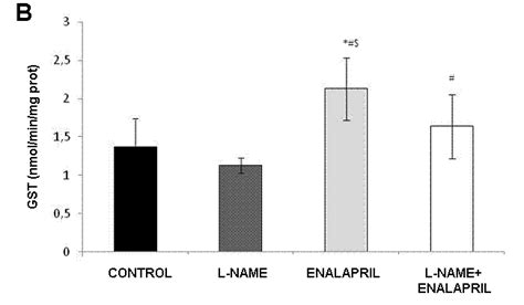 Antioxidant Enzyme Activities A GPX Nmol Min Mg Prot B GST