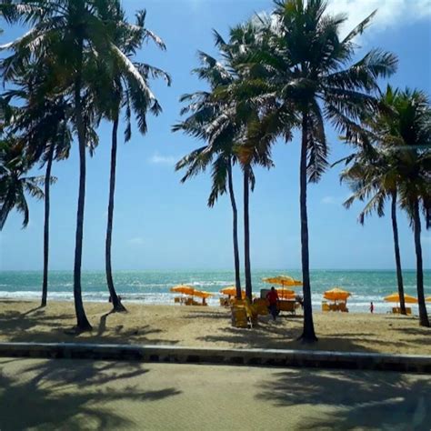 Arquivos Melhor Lugar Para Ficar Na Praia De Boa Viagem Passeios