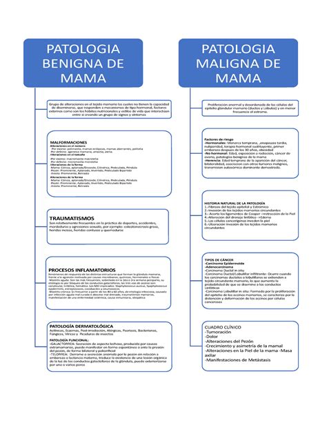 Patologia De Mama Patolog A Benigna Y Maligna De Mama Patologia