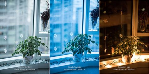 white balance  photography