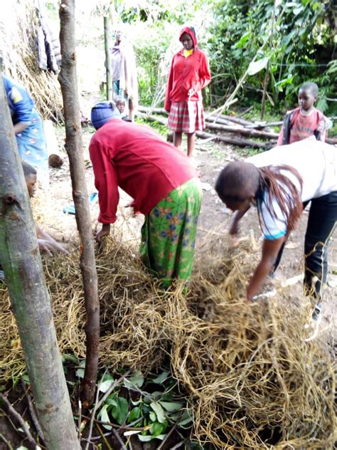 Rwanda TVET Board On Twitter RT RwandaRDI Fertilizer Is Very Key To