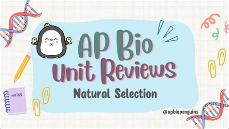 Ap Biology Review Unit 7 Natural Selection Youtube