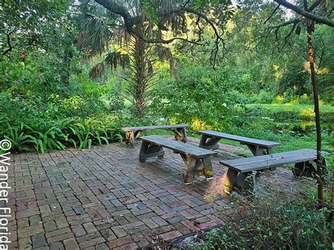 Sawgrass Lake Park: A Beautiful Natural Spot In The Heart Of St. Petersburg