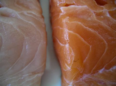 White Chinook Salmon Recipe Bryont Blog