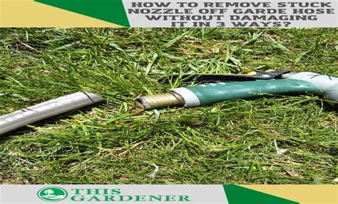 How To Remove Garden Hose Nozzle Step By Step Guide And Tips