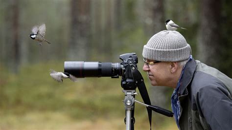 bird    timers guide advnture