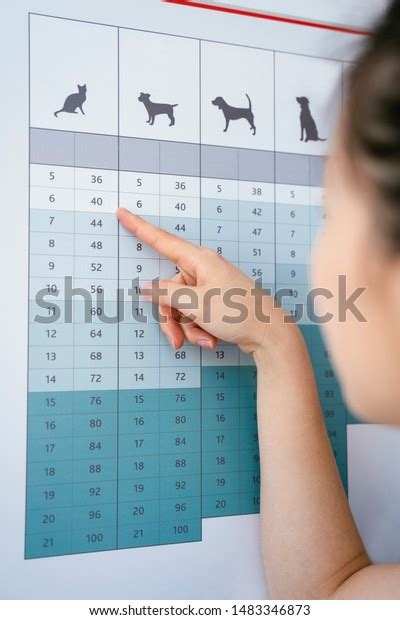 Dog Diet Chart Royalty-Free Images, Stock Photos & Pictures | Shutterstock