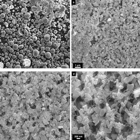 Sem Images Of Granulated Alumina Cnt Composite Powder With Vol Of