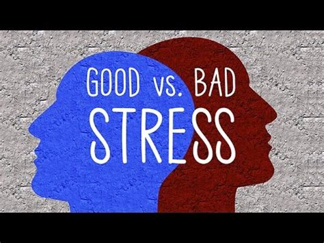 Good Stress Vs. Bad Stress - The Mind Voyager