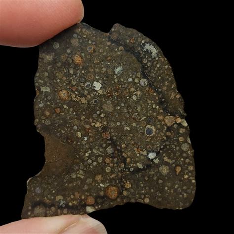 Meteorite Slice Cv Chondrite Carbon E Avec Des Chondres Catawiki