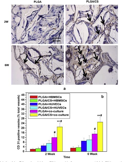 Figure From Silicate Bioceramics Enhanced Vascularization And