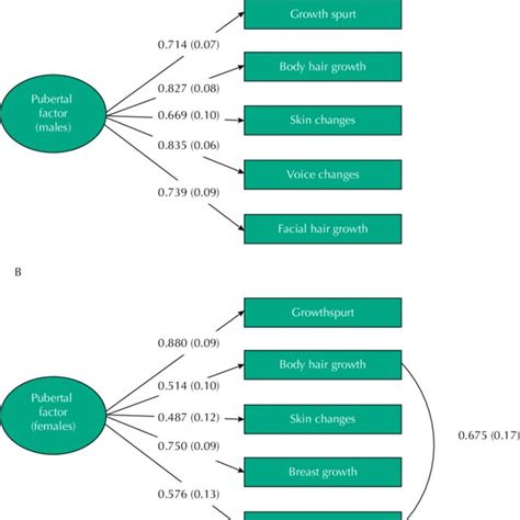 Confirmatory Factor Analysis Of The Pubertal Development Scale Pds